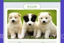 动物园首富v1.9截图