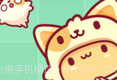 皮皮猫v1.9截图