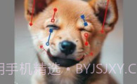 DragGAN AIV1.8截图