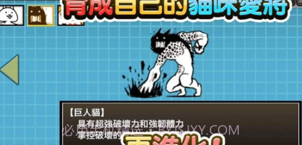 猫咪大陆v1.14.0.13截图