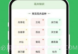 青沁睐匣子v1.0.12截图