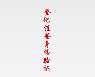 登记注册身份验证v1.2.8截图