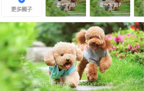 宠Uv1.0.13截图
