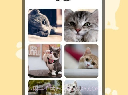 猫猫翻译器v1.6截图