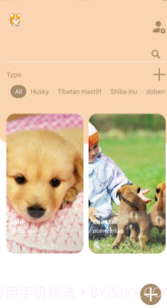 宠物狗狗记v1.9截图
