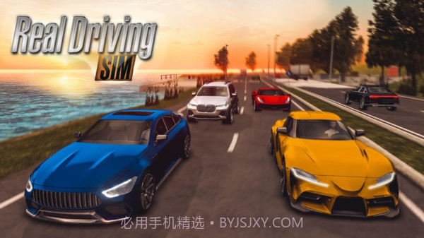 真实驾驶模拟v2.14截图