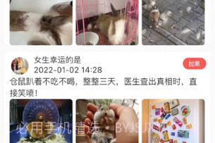 宠爱体v1.8截图