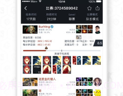 maxv1.9截图