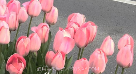 老友一刷v2.3.8截图