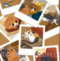 猫咪慵懒的日常v1.13截图