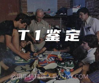 T1鉴定平台v1.1.10截图