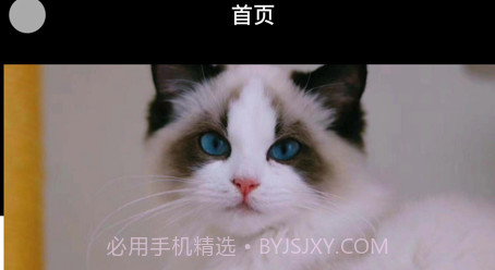 悦宠宠物美容服务v1.9截图