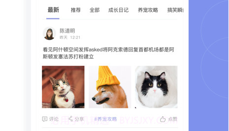 宠南针v1.0.8截图