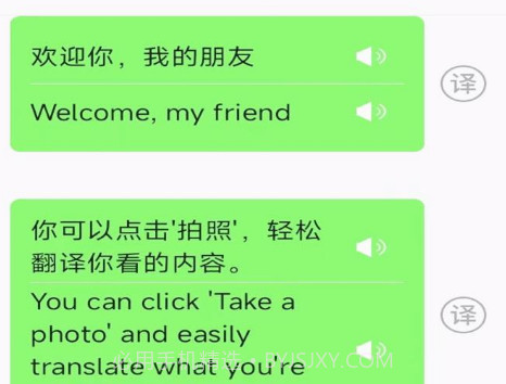 极致语言翻译器v1.0.9截图