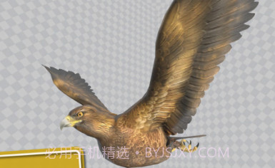 鸟类3D参考v1.0.10截图