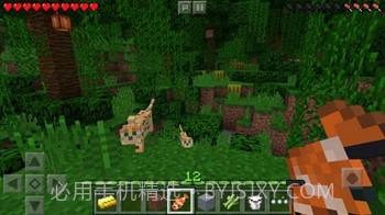 我的世界国际版（Minecraft）v2.5.5.5截图