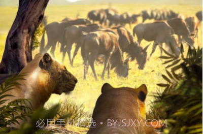 野兽领主新世界v1.0.7截图