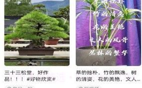 千盆v1.0.8截图