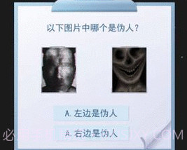 伪人测试模拟器v1.9截图