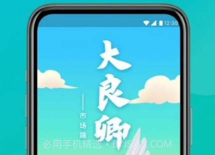 大良卿v1.2.13截图