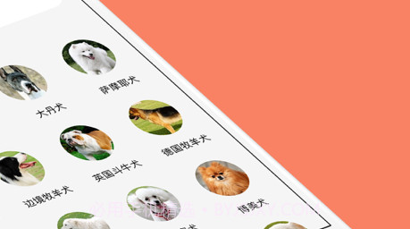 人狗交流器v1.20截图
