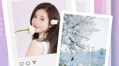 维夫拼图软件v1.0.11截图