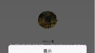 Mint举报助手V1.7截图