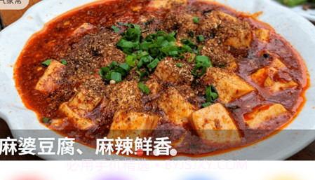 烹饪大厨v1.0.12截图