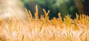 神农种植宝v1.1.12截图
