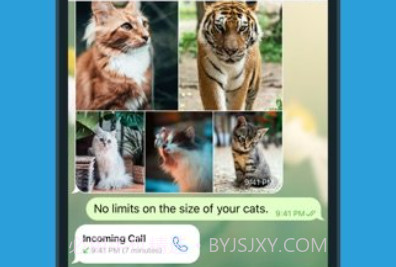 盗版飞机聊天软件苹果v2.57截图