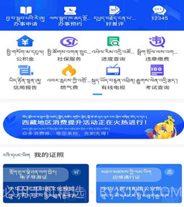 西藏政务服务平台v2.0.10截图