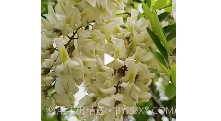 趣豆壳v1.6.16截图