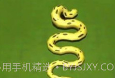 长蛇盘绕v1.15截图