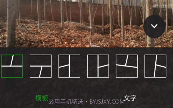 小葡萄v1.0.16截图