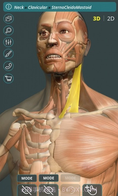 人体3D立体解剖（Visual Anatomy 3D - Human）1.10截图