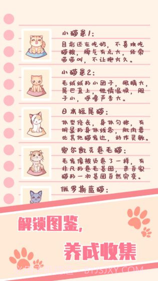 猫咪养成云撸猫v1.09截图