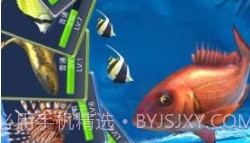 钓鱼模拟器3Dv1.0.8截图