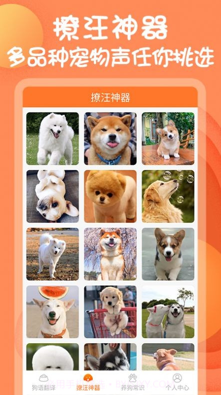 狗与翻译器1.0.14截图