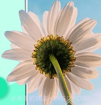 丫丫动态壁纸v1.0.11截图
