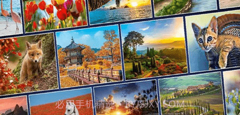 只是拼图（Just Jigsaws）v1.0.8截图