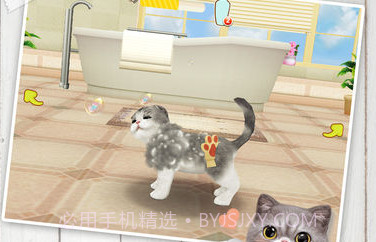 心动小猫V1.8截图