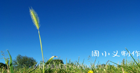 周小义灵敏度生成器v1.10截图