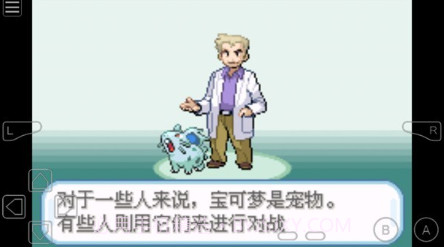 精灵宝可梦圣光白v1.11截图