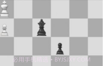 国际棋的狂热v9.11截图