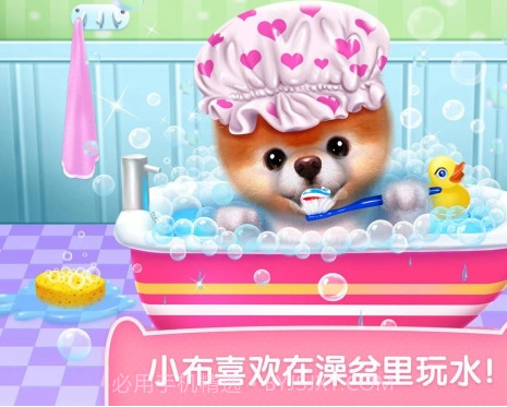 可可公主宠物小布v1.8截图