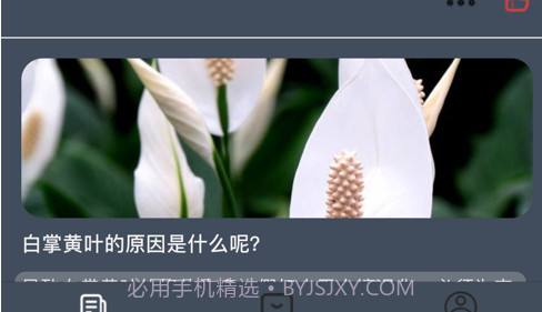 花蜜社v1.17截图
