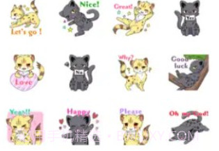 Cheetahv1.3.8截图