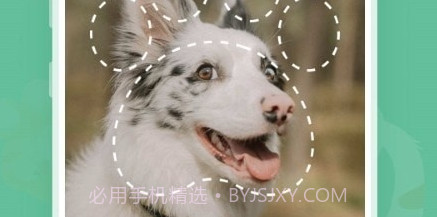 植物识别宝v1.0.12截图