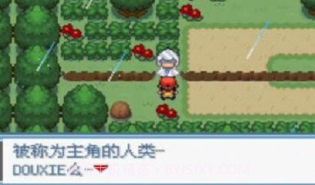 口袋妖怪绿宝石802全随机版v1.8截图