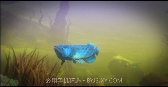 大鱼吃小鱼(海底大猎杀)v1.21截图